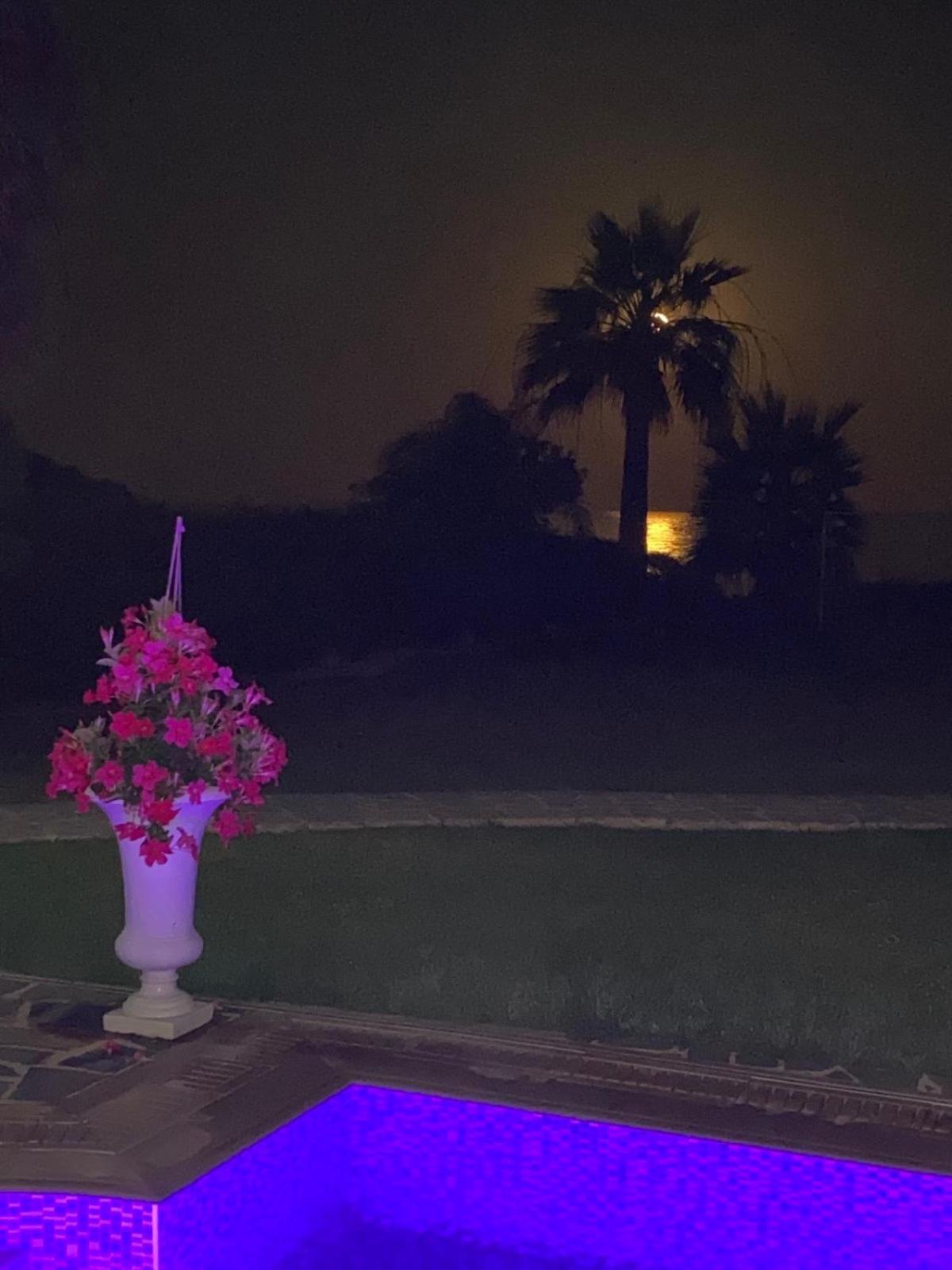 Ionion Beachfront Villa Айя Напа Екстериор снимка