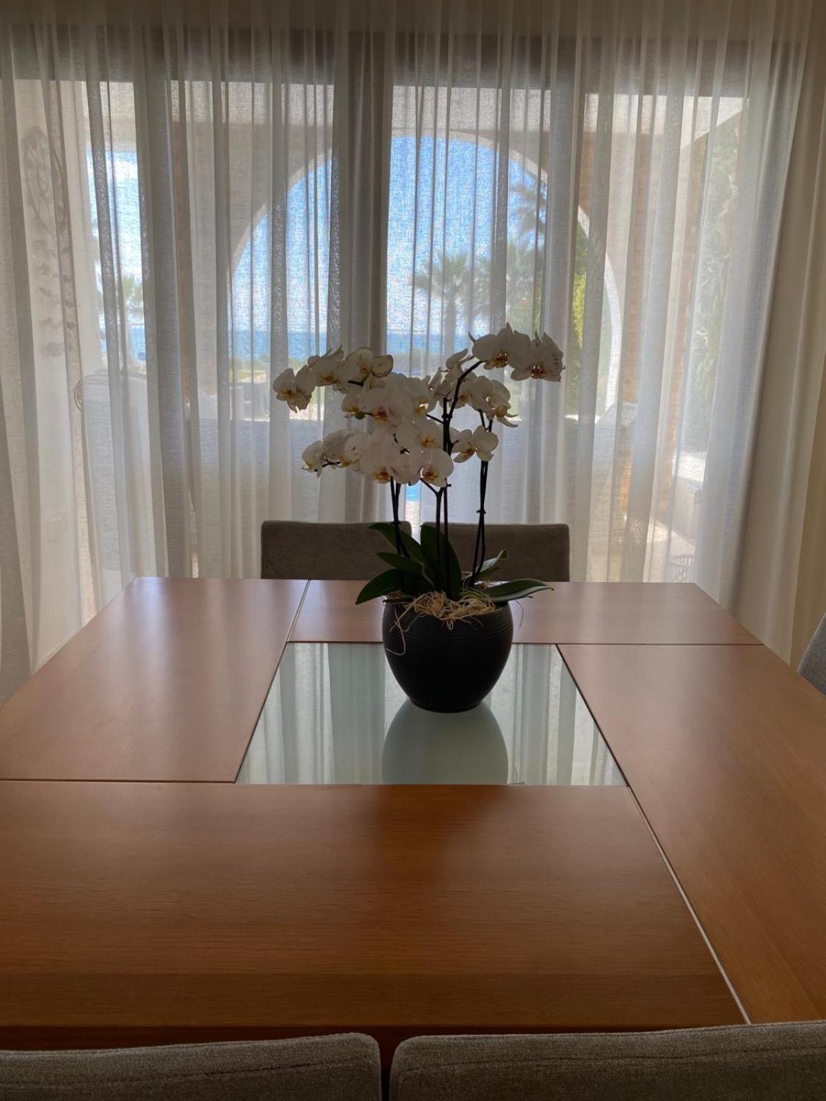 Ionion Beachfront Villa Айя Напа Екстериор снимка